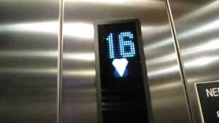 Wonderful KONE Elevator [upl. by Watson834]