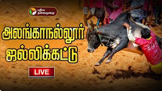 🔴LIVE அலங்காநல்லூர் ஜல்லிக்கட்டு  தொடர் நேரலை  Alanganallur Jallikattu  PTD [upl. by Luna558]