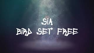 Sia  Bird Set Free Lyrics [upl. by Ogir]