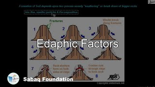 Edaphic Factors Biology Lecture  Sabaqpk [upl. by Foster497]