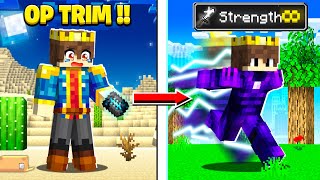 Minecraft But You Can CRAFT SUPER OP TRIMS [upl. by Sibyl735]