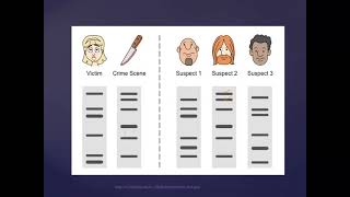 DNA Profiling [upl. by Coshow537]