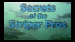 Secrets of the Striper Pros  Volume 1 amp 2 [upl. by Llenal]