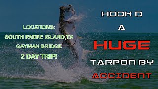 SPITX FISHING HOOKED A HUGE TARPON BY ACCIDENT [upl. by Megen]