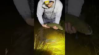 HUGE TROUT CAUGHT ON FLY [upl. by Euh]