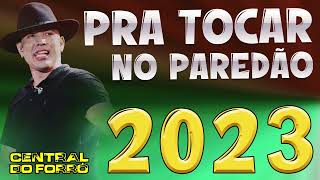 JAPÃOZINHO CD 2023  PRA TOCAR NO PAREDÃO  MÚSICAS NOVAS TOP [upl. by Knepper]