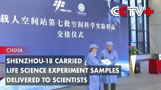 Shenzhou18 Carried Life Science Experiment Samples Delivered to Scientists [upl. by Garlen]