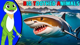 World Biggest Toothed Animals  ABC Phonics Song  Kids Nursery Rhymes [upl. by Felton346]