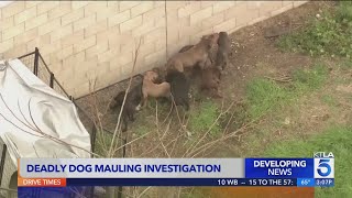 Compton pit bull breeder mauled to death by his own dogs [upl. by Saeger]