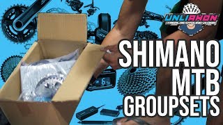 Shimano MTB Groupsets Price amp Hierarchy [upl. by Sankaran643]