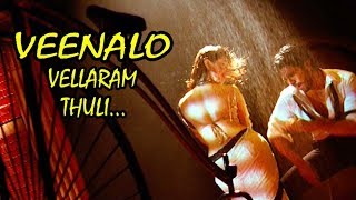 Veenalo Vellaram thuli Raksha Malayalam Latest Movie Song  Ramcharan  Tamannaah [upl. by Ettinger607]