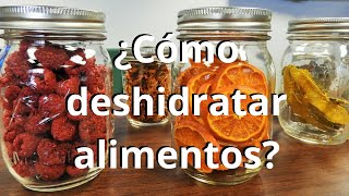 ¿Cómo deshidratar alimentos [upl. by Garlan]