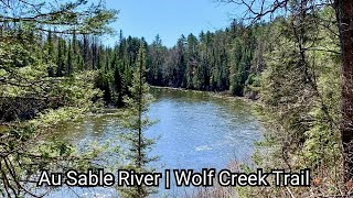 A Beautiful Day For A Hike Along the Au Sable River On The Wolf Creek Trail  Mio Michigan [upl. by Alfie]