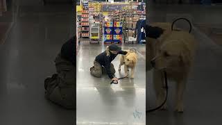 Watch 👀 How Service Dogs 🦮 are Trained to Brace for Their Handlers [upl. by Ecidnacal]