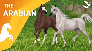 Meet the UPDATED Arabians 😍🐎⚡  Star Stable Breeds [upl. by Eronel]