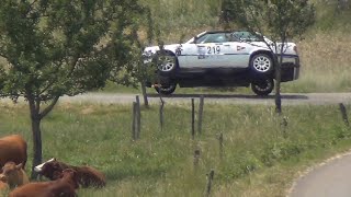 Rallye des Bornes VHC amp VHRS 2023 [upl. by Llednor582]