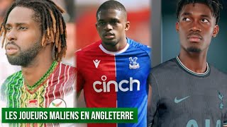 LES MEILLEURS JOUEURS MALIEN EN ANGLETERRE 2024 [upl. by Enelyaj]