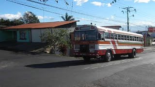 Thomas Transit Liner FE 1975  Mercedes Benz 3555 [upl. by Marcos]