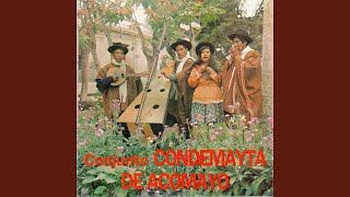 Serenata Condemayta [upl. by Naenaj]