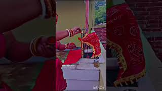 Tulsi Vivah ✨️✨️ likeandsubscribe minivolog hindufestival explore [upl. by Ettedo772]