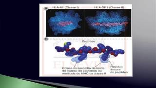 HLA e resposta imune  Jorge Kalil  2014 [upl. by Salkin]