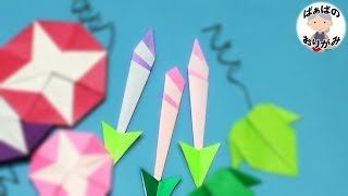 折り紙 あさがおの「つぼみ」の折り方【音声解説あり】Origami flower Morning glory bud tutorial 朝顔シリーズ5  ばぁばの折り紙 [upl. by Ulphia]