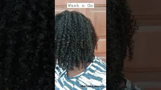 Wash n Go using Anthony Dickey Method [upl. by Curry]