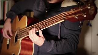 Orion Acoustic Bass Solo  Metallica By Vincenzo Marretta [upl. by Doria414]