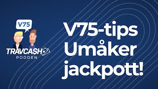 V75 tips Umåker ∣ Jackpott 63 miljoner ∣ Travtips från Travcash [upl. by Kylie]