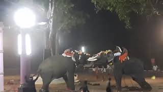 Elephants attack at vayilyamkunnu pooram  kadampazhipuram  palakkad  kerala [upl. by Zertnom]