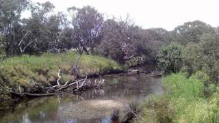 Werribee River Regional Park  new Park just opened west of Melbourne [upl. by Faxon]