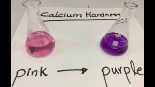 Calcium Hardness experiment [upl. by Natascha]