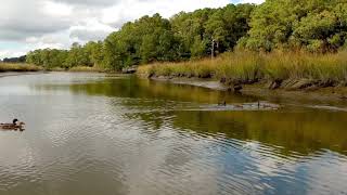 Elizabeth River Carolanne Farms Virginia Beach Virginia [upl. by Elay209]