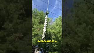 Podando árboles desde el aire ¡Increíble técnica [upl. by Nylear]