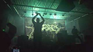 Impending Doom  Murderer Live  Hooligans Music Hall Jacksonville NC 10102024 [upl. by Airtemak]