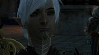 Dragon Age 2 Fenris Romance 13 Endgame goodbyes Templars side v2 Passionate kiss [upl. by Esnofla]