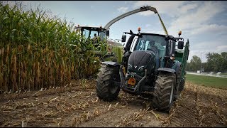 Ensilage de maïs 2018 chez jerome [upl. by Edik]