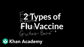 2 Types of Flu Vaccine [upl. by Siuluj]