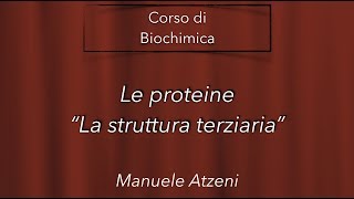 La struttura terziaria delle proteine  L33 [upl. by Korff346]