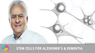 Neural Stem Cell Treatment for Alzheimers amp Dementia  Updated 2024 Protocol [upl. by Cruz]