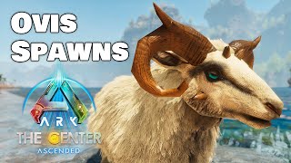 Where to find OVIS Sheep  The Center  Ark Survival Ascended [upl. by Alym30]