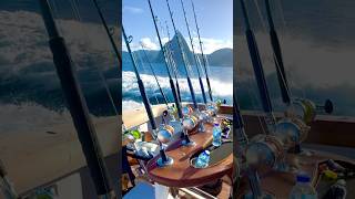 Marlin fishing 80 Viking off st Lucia [upl. by Maure]