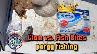 Testing Clam vs FishBites Fishn Chunks for Porgy fishing [upl. by Annohsat]