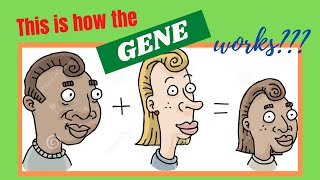 Heredity Inheritance and Variation Grade 9 Genetic Terms [upl. by Gabriellia]