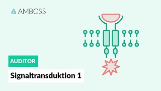 Signaltransduktion Teil 1  Was ist Signaltransduktion  AMBOSS Auditor [upl. by Caruso99]