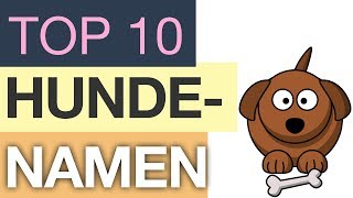 Top 10 Hundenamen [upl. by Paddy]