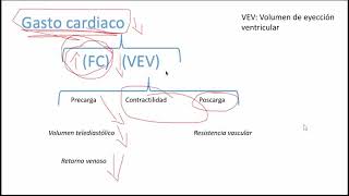 Sistema cardiovascular Hemodinamia Ley de Ohm Poiseuille y presión arterial sistémica Parte 1 [upl. by Verina]