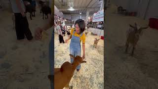 Christina tiene una vaca lechera 🐮 123andres musicainfantil granja shortsfeed shortsvideo [upl. by Ichabod]