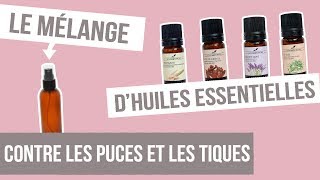 DIY ANTIPUCES ET TIQUES  Fabriquer son remède naturel aux huiles essentielles [upl. by Daahsar]