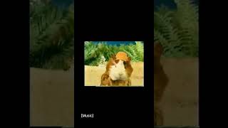 Wonder Pets Treehouse TV Promo [upl. by Debora]